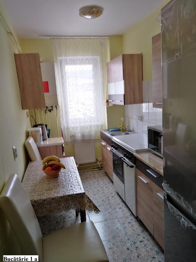 Apartament Salina Bulevard Gyulafehérvár Kültér fotó