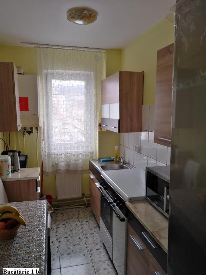 Apartament Salina Bulevard Gyulafehérvár Kültér fotó