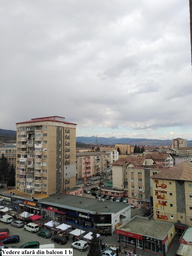 Apartament Salina Bulevard Gyulafehérvár Kültér fotó